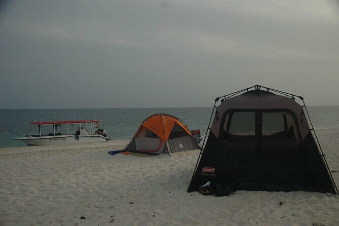 Snorkeling trips to Daymaniat Islands Sharing Trip - Turtle spotting: how to increase your chances (without chasing)