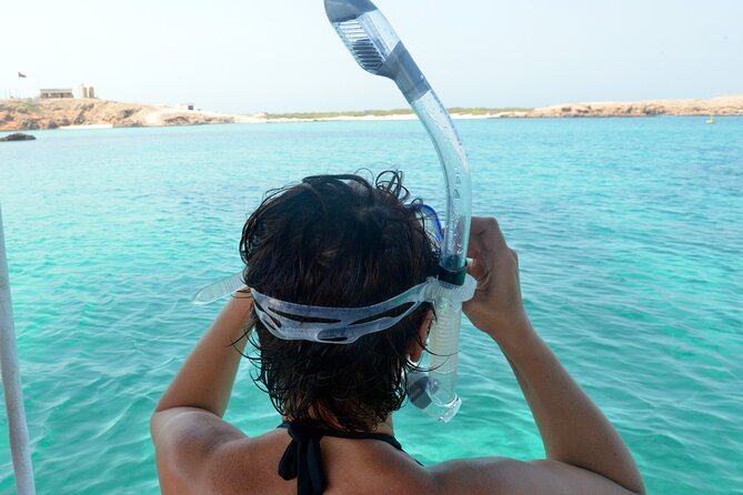 Snorkeling trips to Daymaniat Islands Sharing Trip - Sharks, rays, and other marine life you might encounter
