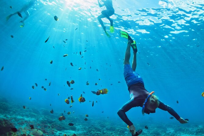 Snorkeling trips to Daymaniat Islands Sharing Trip - Price and value of a $75.05 half-day snorkeling trip