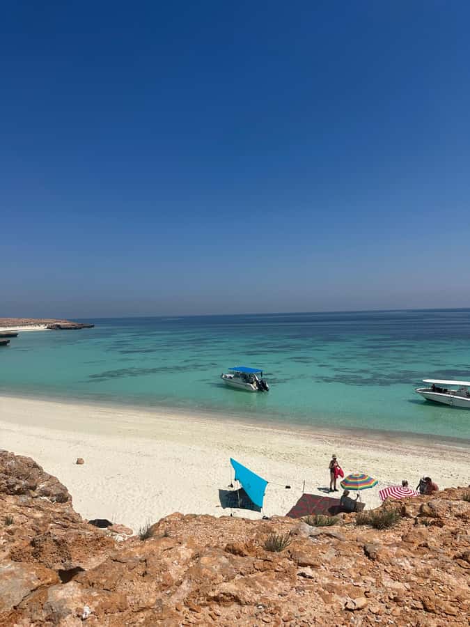 Snorkeling with turtles at Ad Daymaniyat Islands - The speedboat ride: 30 minutes of looking, not just sitting