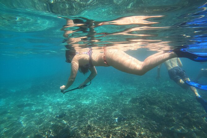 Snorkelling tours to Daymaniyat island - Key highlights to know before you go