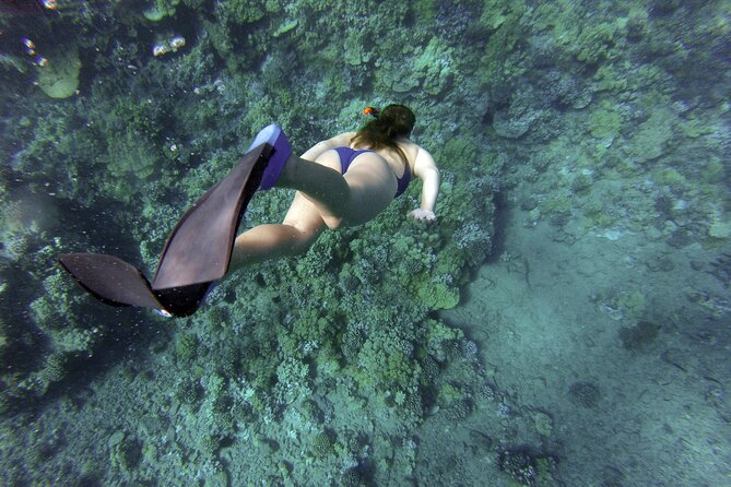 Snorkelling tours to Daymaniyat island - Two snorkeling stops on Daymaniyat, with beach time as backup