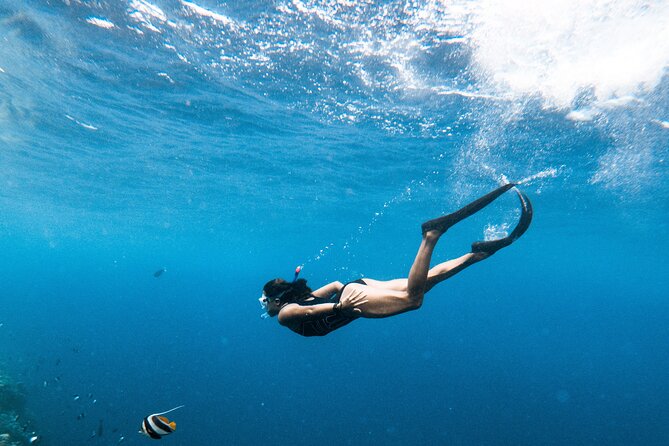 Snorkelling tours to Daymaniyat island - Boat comfort details that actually matter in Oman