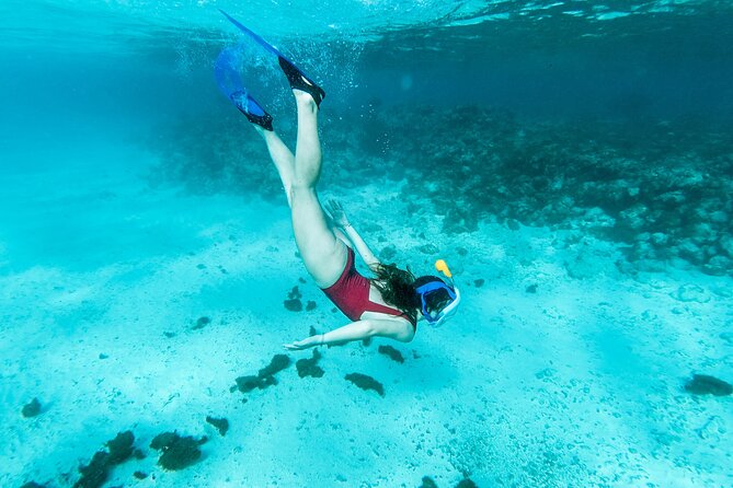 Snorkelling tours to Daymaniyat island - Guides and group size: 20 people, and staff who care