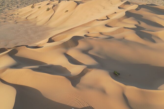 Sunset desert safari Salalah with Dinner in a Bedouins camp - Wubar, the Lost City of Ubar: ruins tied to the frankincense trade