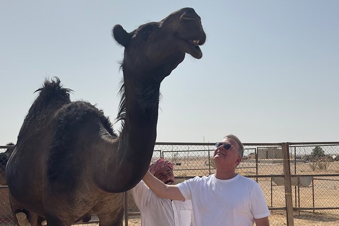 Sunset desert safari Salalah with Dinner in a Bedouins camp - English and Italian guide, private group, and why organization matters