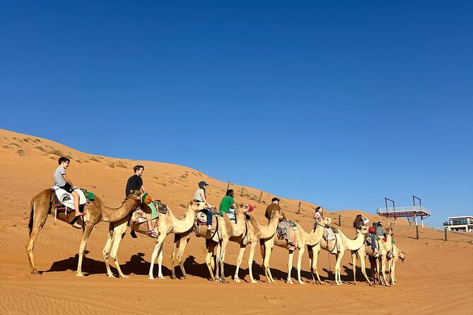 Sunset in Wahiba Sands 4x4 Adventure - Stop 2: Bedouin home visit and camel riding experience (fees not included)
