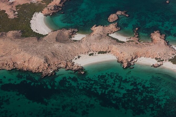 The Jewel of Muscat Sea, Daymaniyat Islands - Why Daymaniyat Islands are a top reason to leave Muscat for the day