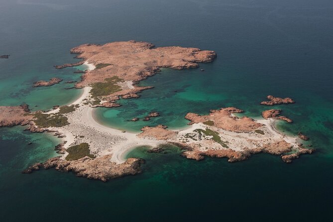 The Jewel of Muscat Sea, Daymaniyat Islands - Daymaniyat Islands Nature Reserve: sandy beach timing and wildlife odds