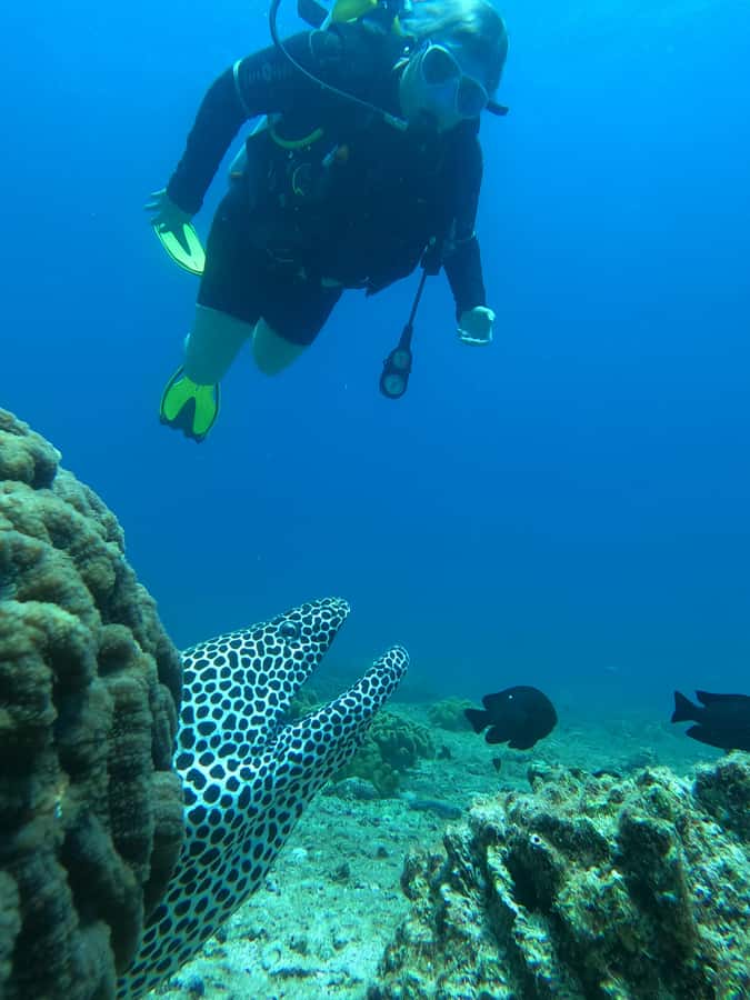 Try scuba Diving Tours To Daymaniyat Islands. - Key things I’d watch for