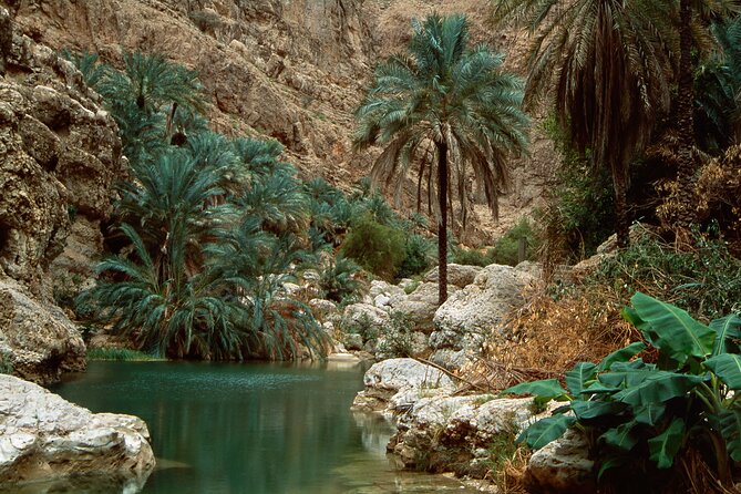 Wadi Shab and Bimmah Sinkhole Group Full Day Tour - Lunch at the local cafe: what you get and how to enjoy it