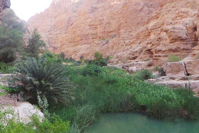 Wadi Shab Expedition - Swimming pools at the back of the valley, what you’ll do there