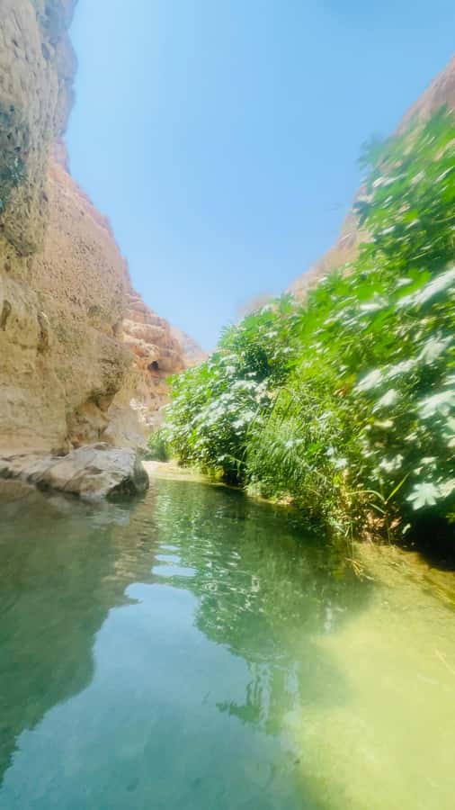 Wadi Shab Parking Meet the Local Guide for Self drivers - Where this tour really shines compared to DIY