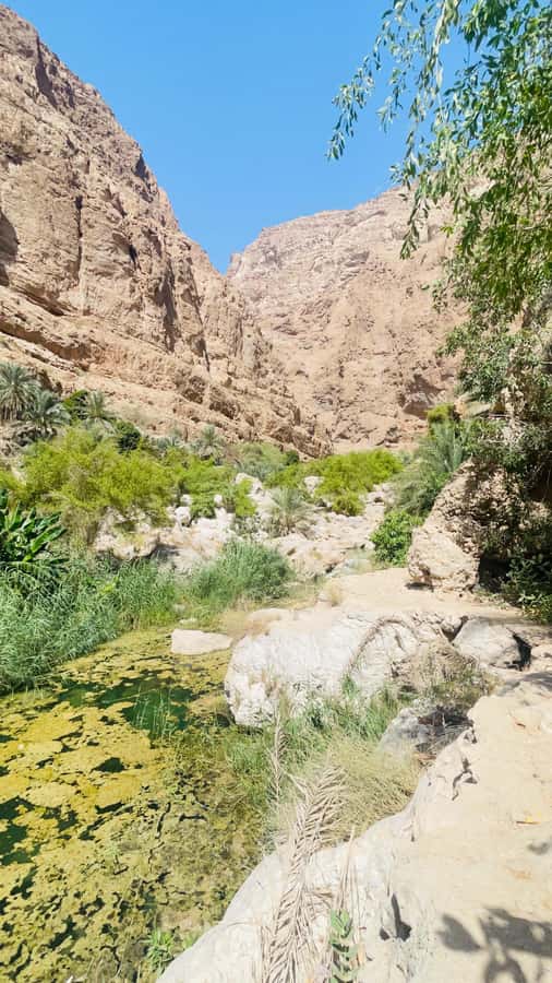 Wadi Shab Parking Meet the Local Guide for Self drivers - The coffee stop and what to do after your hike