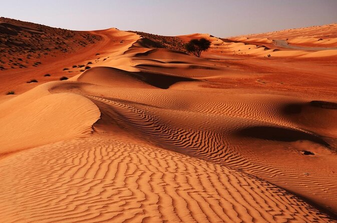 Wahiba Sands and Desert Safari from Muscat - Key things to know before you go
