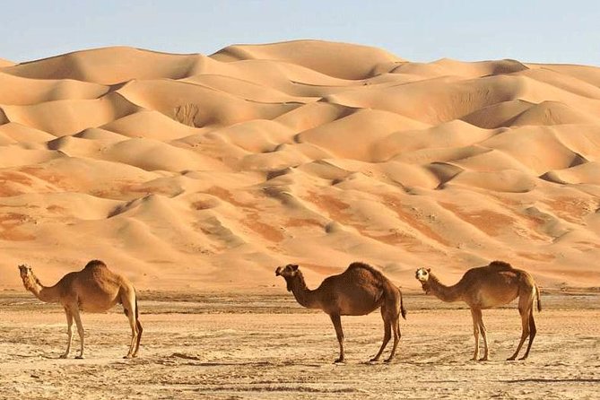 Wahiba Sands and Desert Safari from Muscat - Who should book this safari from Muscat?