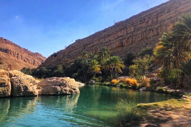 Wahiba Sands and Desert Safari from Muscat - Should you book? My straight answer