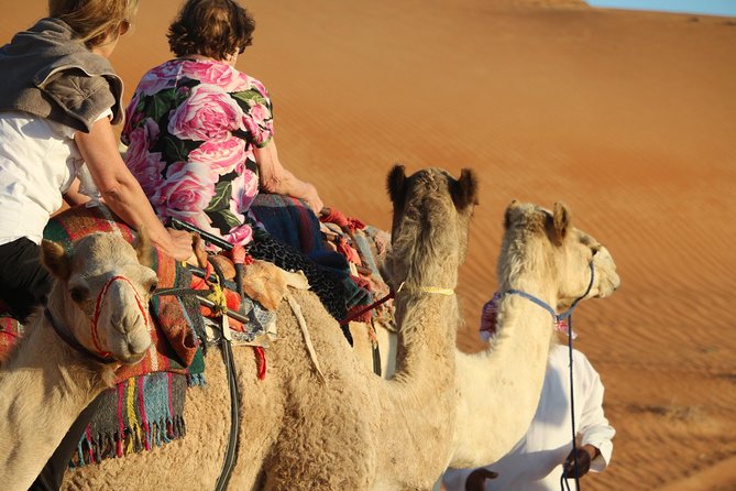 Wahiba Sands Safari with Wadi swimming and Camelride - A 9 to 10 Hour Muscat-to-Desert Day That Actually Flows