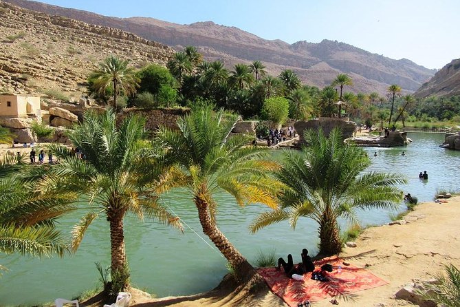Wahiba Sands Safari with Wadi swimming and Camelride - Wahiba Sands Safari Time: The Dunes and the Camel Ride