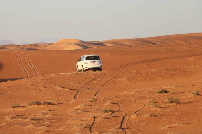 Wahiba Sands Safari with Wadi swimming and Camelride - Going At Your Own Pace, Within a Planned Day