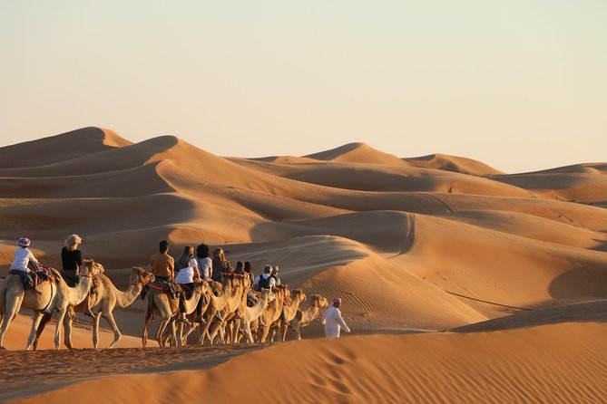 Wahiba Sands Safari with Wadi swimming and Camelride - Pickup, Transfers, and the Mobile Ticket Convenience