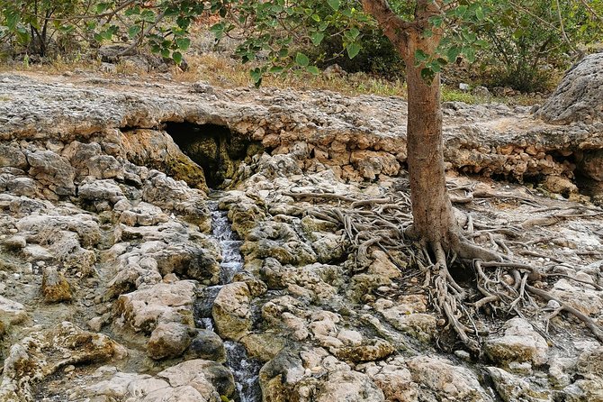 West Salalah, Al Mughsail Beach, White Beach, Frankincense Tree (Half day Tour) - Blow Holes Near Marneef, When Seawater Becomes a Jet