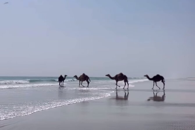 West Salalah Beaches and Blowholes - Why West Salalah Beaches and Blowholes feels different