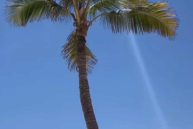 West Salalah Beaches and Blowholes - What the private format means for how you actually travel