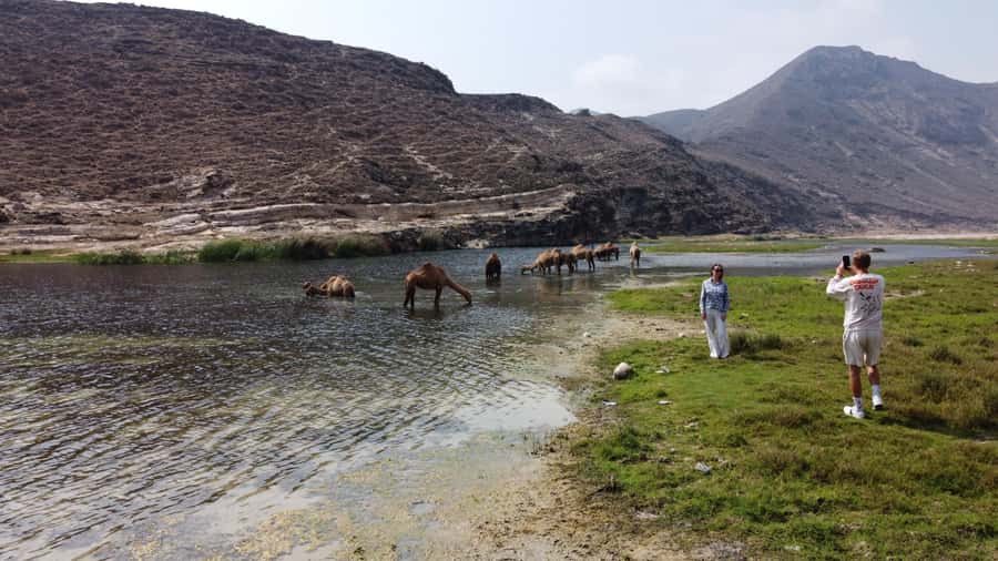 West Salalah Highlights: Coastal Wonders & Scenic Views - Mughsayl Beach and blowholes: the ocean does the show