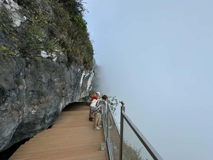 West Salalah Highlights: Coastal Wonders & Scenic Views - Price and value: $100 that makes sense if you want “one driver, many stops”