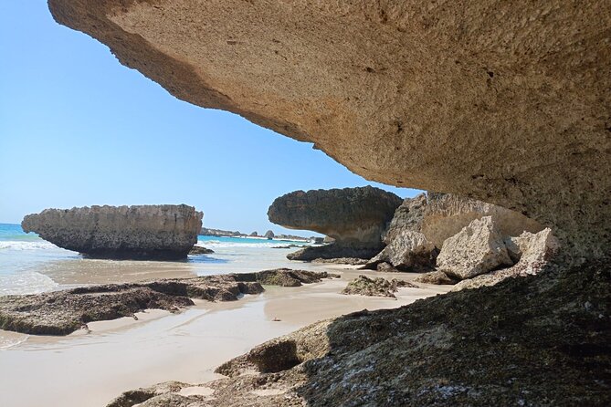 West Salalah Tour by VisitSalalah - Meeting and Getting Around: Pickup, Small Group, and Timing