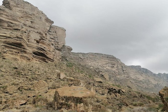 Where Sea Meets Rock: A Scenic Journey to West Salalah’s Shores - Comfort, transport, and the small-group advantage