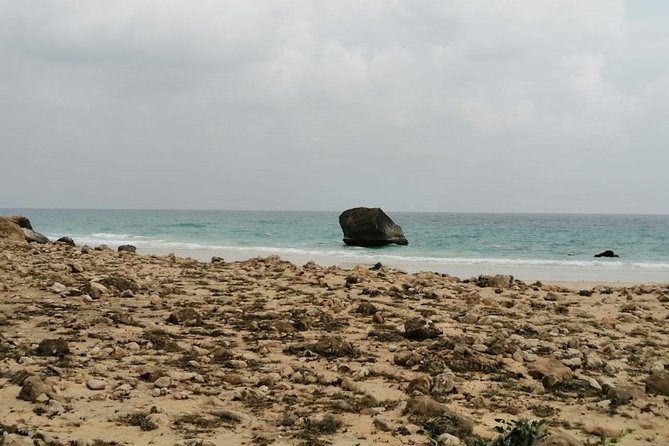 Where Sea Meets Rock: A Scenic Journey to West Salalah’s Shores - Price and value: what $170 buys you here