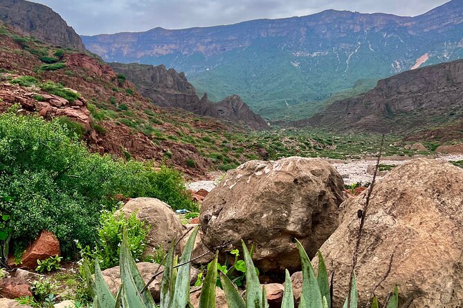Your Salalah Tour-Your German speaking tour provider/mountain tour - Stop 5: Mirbat, a quick stop at the location of gravity